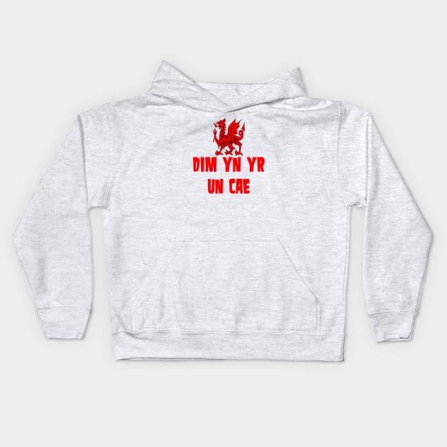 Dim yn yr un cae Welsh Rugby Union Dragon Kids Hoodie by taiche